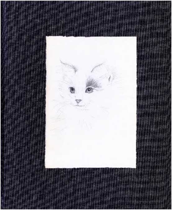 drawing of kitten in black frame.